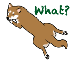Shiba inu and friends in English sticker #5697079