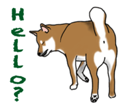 Shiba inu and friends in English sticker #5697080
