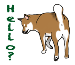 Shiba inu and friends in English sticker #5697080