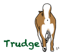 Shiba inu and friends in English sticker #5697081