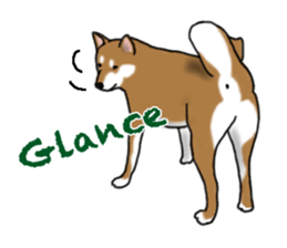 Shiba inu and friends in English sticker #5697082