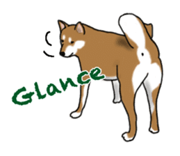 Shiba inu and friends in English sticker #5697082