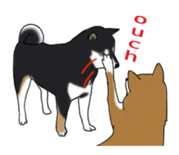 Shiba inu and friends in English sticker #5697083