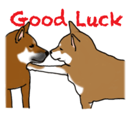 Shiba inu and friends in English sticker #5697084