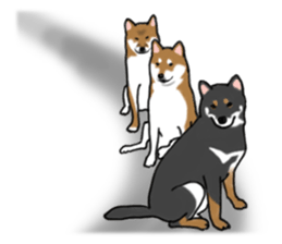 Shiba inu and friends in English sticker #5697086