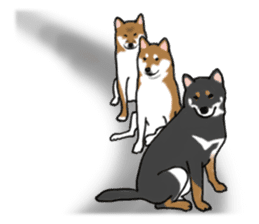 Shiba inu and friends in English sticker #5697086