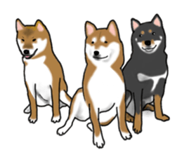 Shiba inu and friends in English sticker #5697087