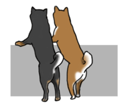Shiba inu and friends in English sticker #5697089