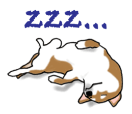 Shiba inu and friends in English sticker #5697092