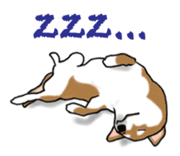 Shiba inu and friends in English sticker #5697092