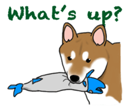 Shiba inu and friends in English sticker #5697094