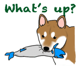 Shiba inu and friends in English sticker #5697094