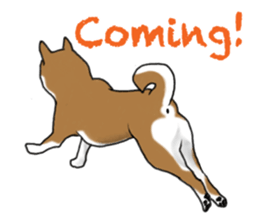 Shiba inu and friends in English sticker #5697097