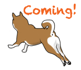 Shiba inu and friends in English sticker #5697097