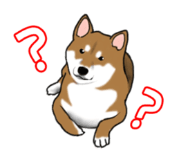 Shiba inu and friends in English sticker #5697099
