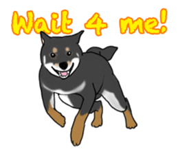 Shiba inu and friends in English sticker #5697101