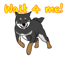 Shiba inu and friends in English sticker #5697101