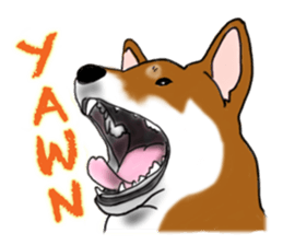 Shiba inu and friends in English sticker #5697102