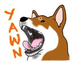 Shiba inu and friends in English sticker #5697102