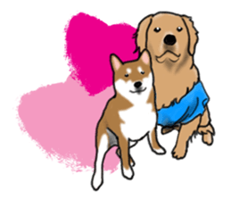 Shiba inu and friends in English sticker #5697103