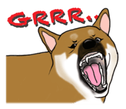 Shiba inu and friends in English sticker #5697104