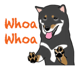 Shiba inu and friends in English sticker #5697107