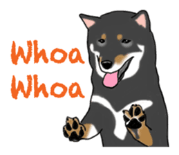 Shiba inu and friends in English sticker #5697107