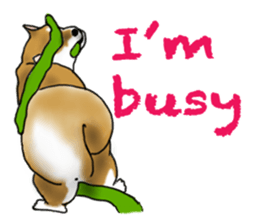 Shiba inu and friends in English sticker #5697108