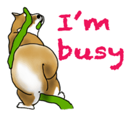 Shiba inu and friends in English sticker #5697108