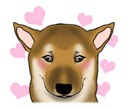 Shiba inu and friends in English sticker #5697111