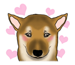 Shiba inu and friends in English sticker #5697111