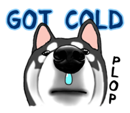 Shiba inu and friends in English sticker #5697112