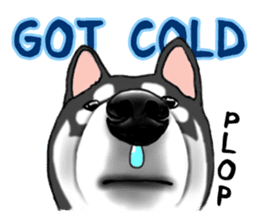 Shiba inu and friends in English sticker #5697112