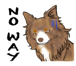 Shiba inu and friends in English sticker #5697114