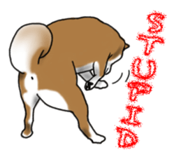 Shiba inu and friends in English sticker #5697115