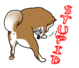 Shiba inu and friends in English sticker #5697115