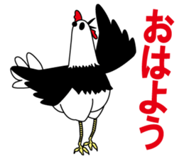 Chick panda sticker #5699088