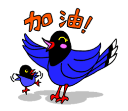 Taiwanese national bird(Coo-chan) sticker #5701277