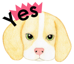 THE BEAGLES (English) sticker #5702828