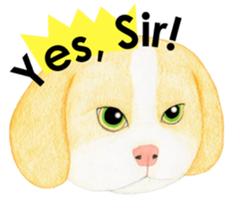 THE BEAGLES (English) sticker #5702830