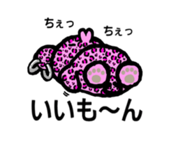 Leopard bear kenje sticker #5703655
