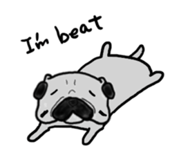 pug-dog sticker 4 sticker #5704800
