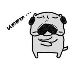 pug-dog sticker 4 sticker #5704807