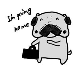 pug-dog sticker 4 sticker #5704814