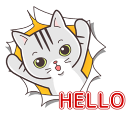 Joker! American short hair Mofu sticker #5704836