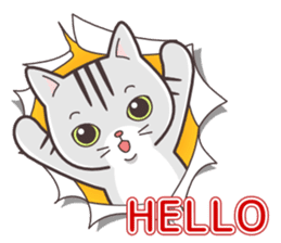 Joker! American short hair Mofu sticker #5704836