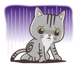 Joker! American short hair Mofu sticker #5704853