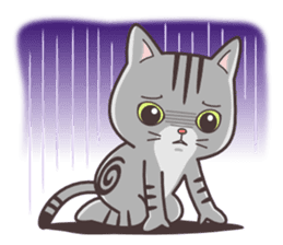 Joker! American short hair Mofu sticker #5704853