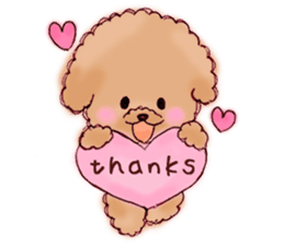 TOY POODLE English version sticker #5705236