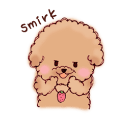 TOY POODLE English version sticker #5705238